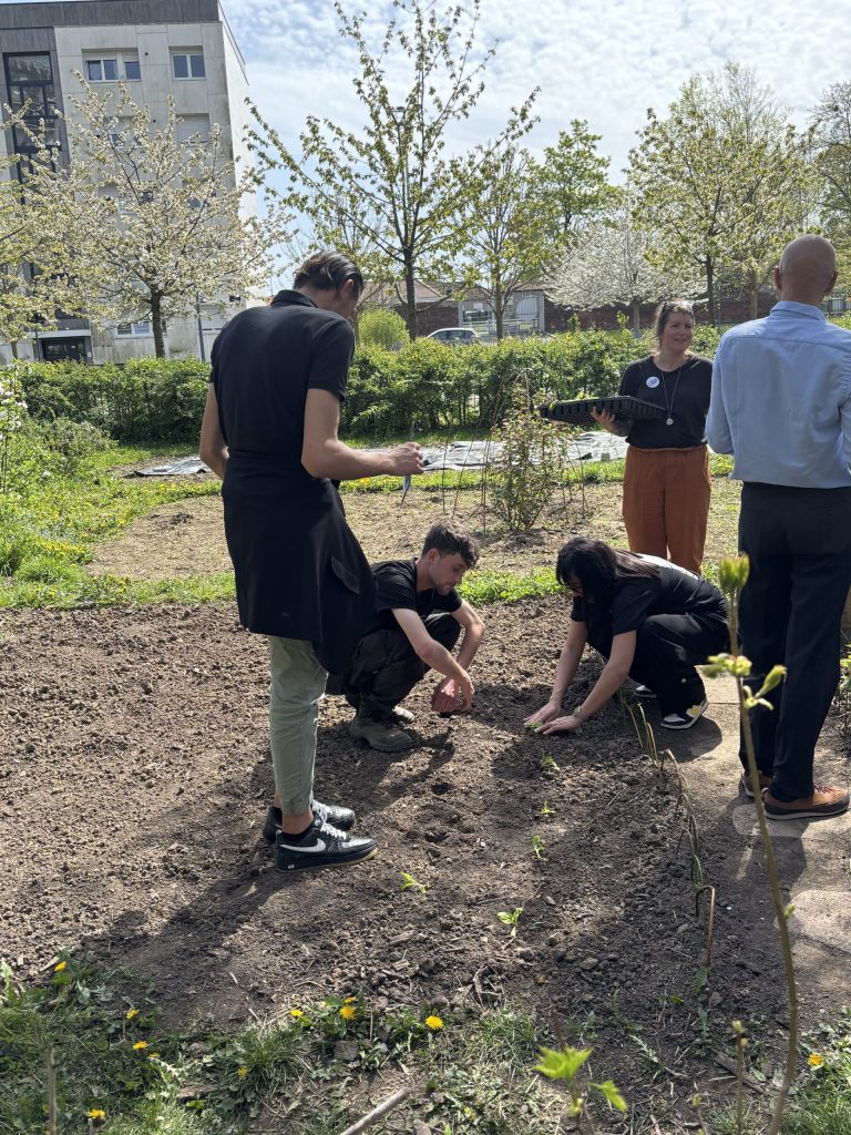 Le jardin des cultures de la ferme urbaine bio lille