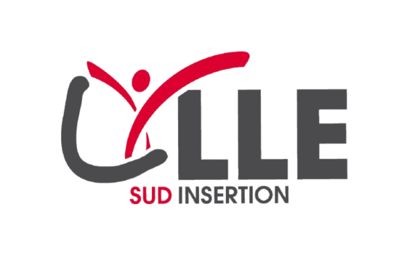 Logo LSI