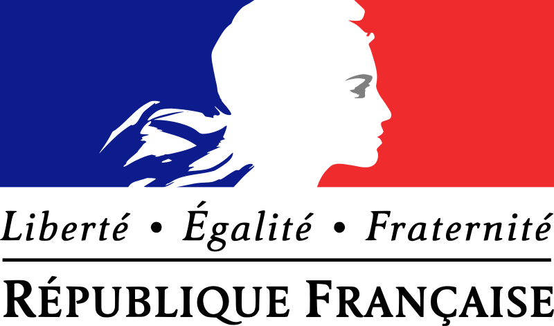 Devise française Insertion professionnelle Lille