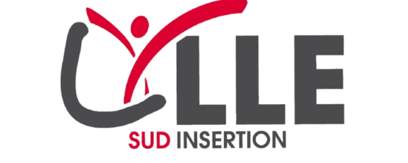 Lille Sud Insertion