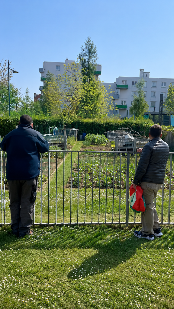 Jardin partagé insertion Lille