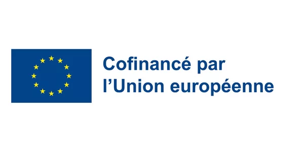FSE Insertion professionnelle Lille
